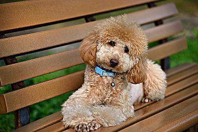 真人互动冒险游戏《心之岛》(Island of Hearts)将于 2026 年春季推出